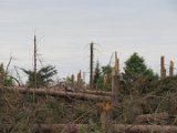 2022-05-20 - Tornado beim Sturmtief Emmelinde Solling - Steinlade bis Gehren (72)